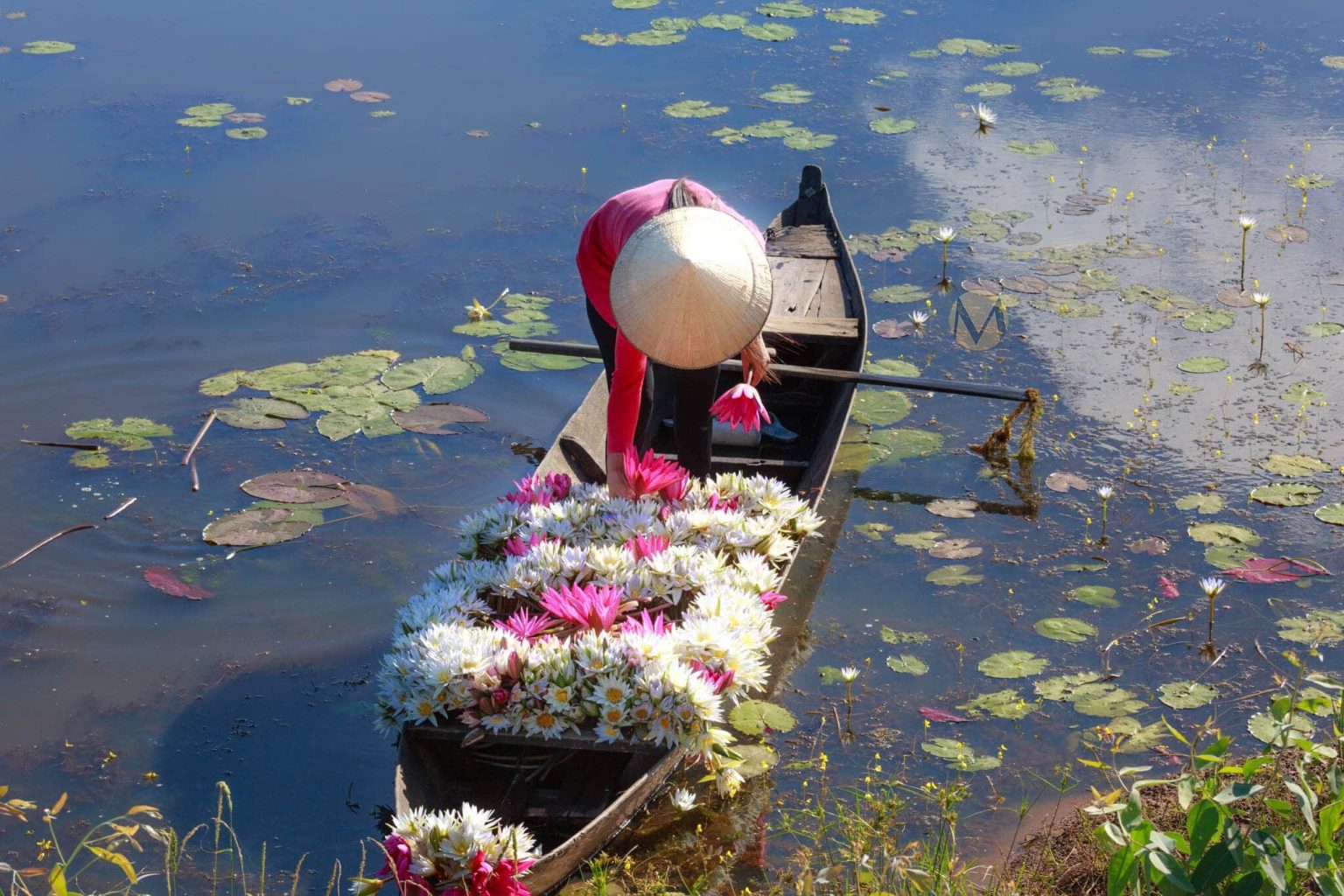 Cai Rang Floating Market &amp; Son Islet Day Tour from Saigon gallery image 3