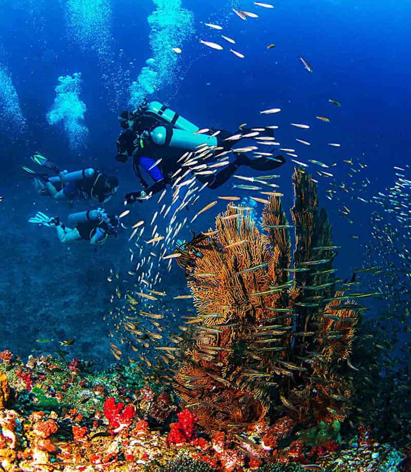 Memorable and Fantastic Things to Do in Phu Quoc Island  gallery image 8