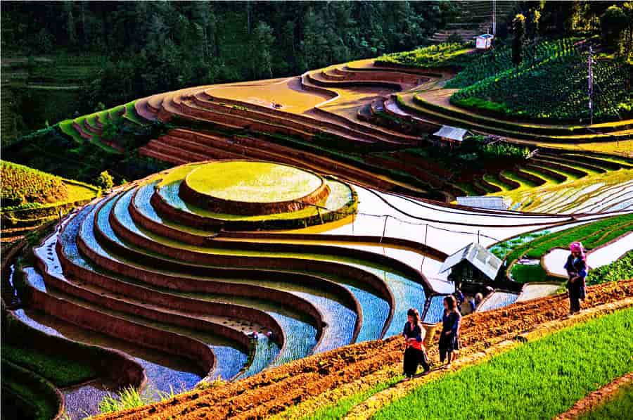 Vietnam in August