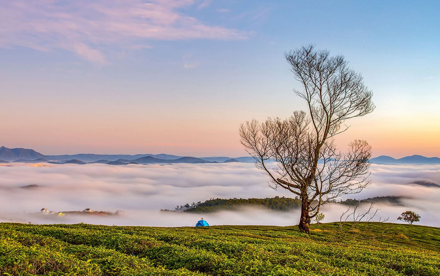 Dalat