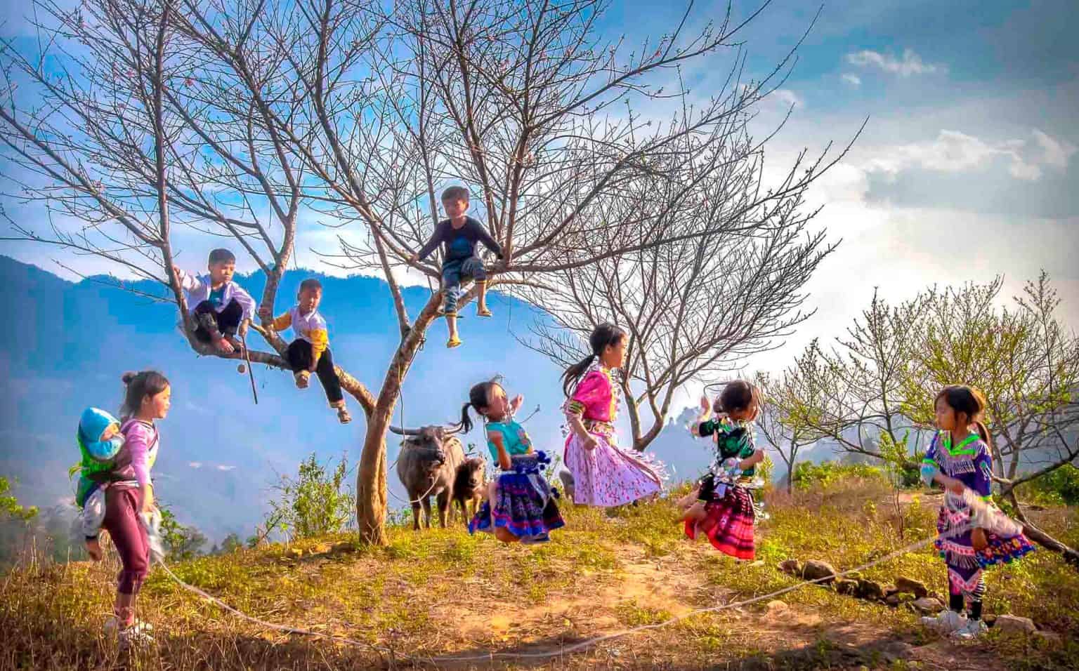 Top 12 Places to Visit in Vietnam on Your Next Trip