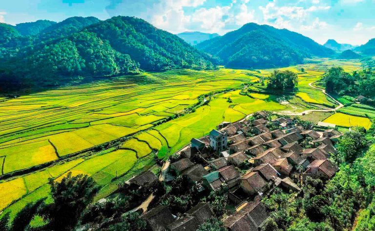 Vietnam photo 1