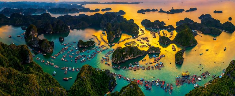 Cruises & Waterways