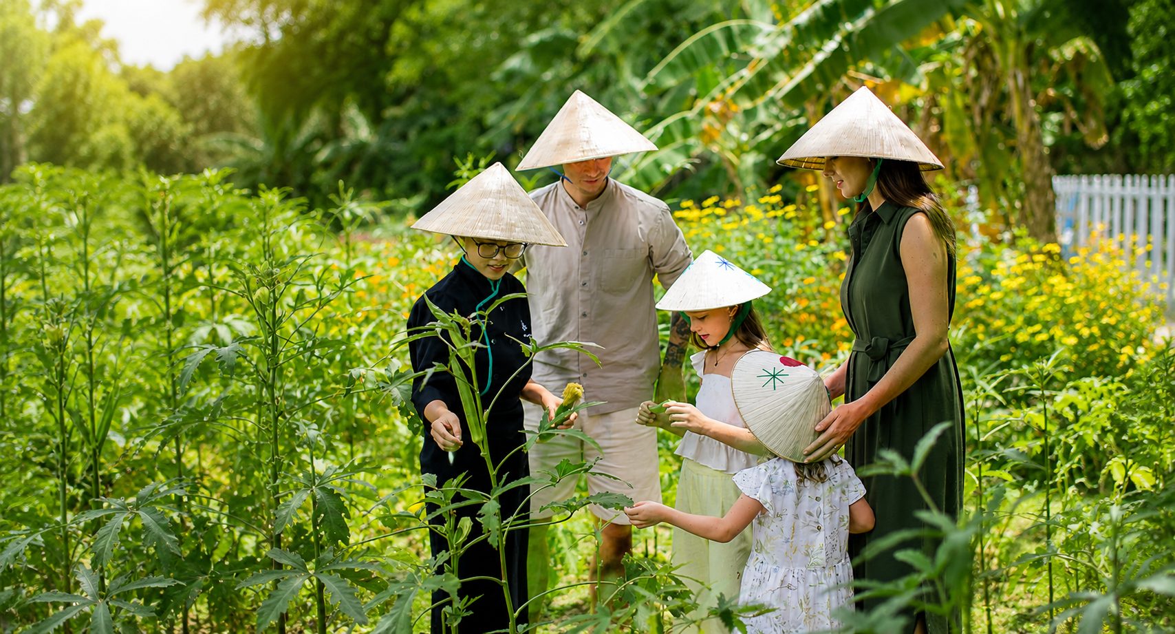 Highlights of Vietnam