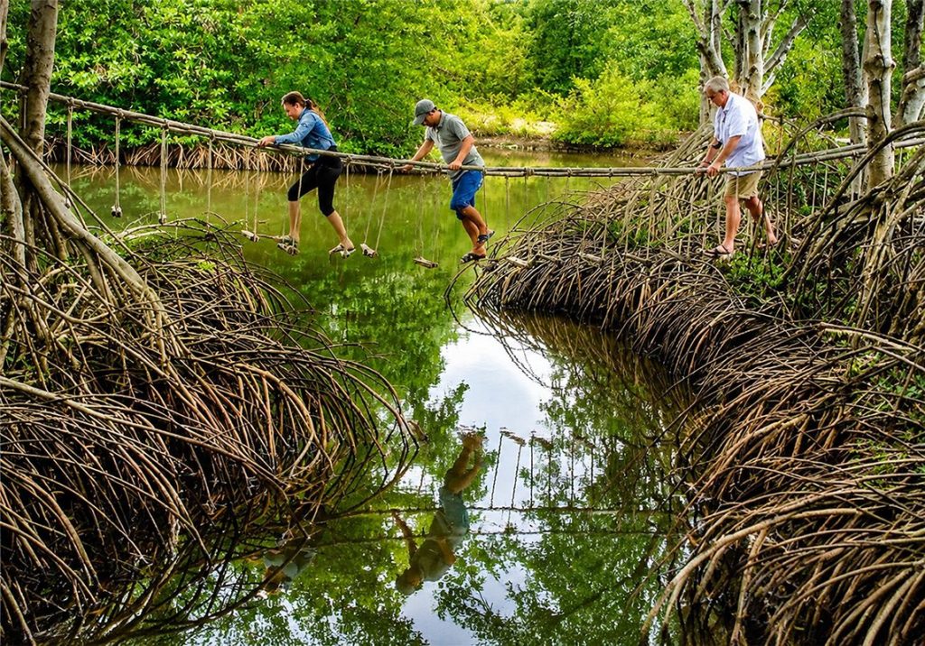 Mekong Delta