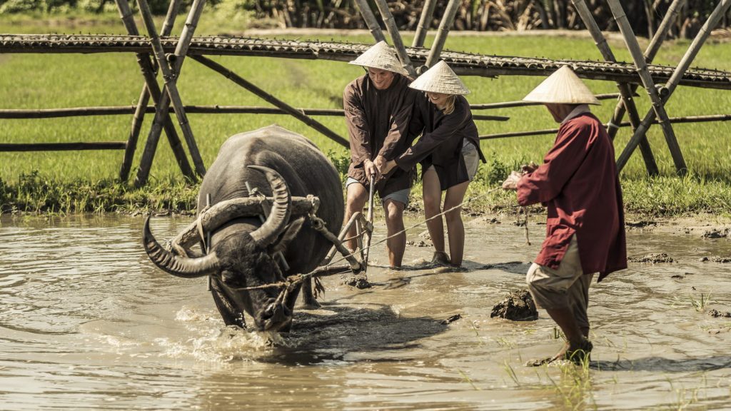Family Vietnam Tour
